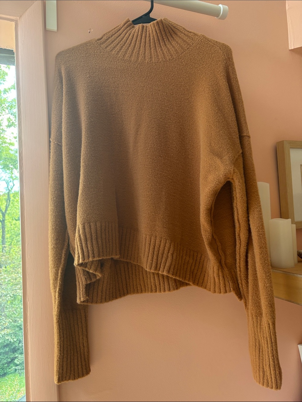 Free People Chestnut Mock Neck Sweater